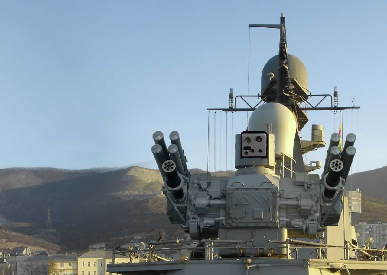 PALMA Air Defense Missile/Gun and Gun System